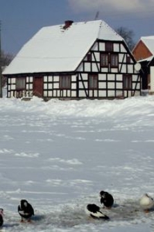 Residential building in Bruskowo Wielkie