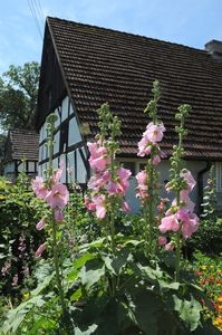 Budynek mieszkalny w Swołowie (2)