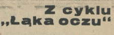 Z cyklu " Łąka oczu"