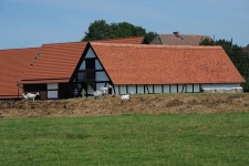 Budynki gospodarcze w Swołowie (1)