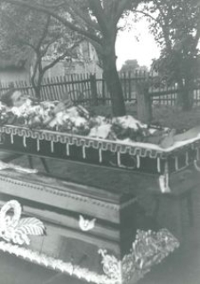 Gdańsk i Kaszubi w XX-leciu międzywojennym (203)