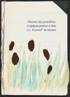 Historia (nie) prawdziwa o pięknym jeziorze w lesie, co &bdquo;Kryształ&rdquo; się nazywa