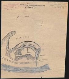 Grodzisko wczesnohistoryczne w Damnie