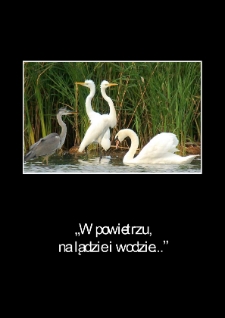 W powietrzu, na lądzie i wodzie