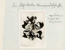 [Herb rodowy Henricusa de Stoppel]