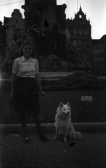 Gdańsk i Kaszubi w XX-leciu międzywojennym (331)