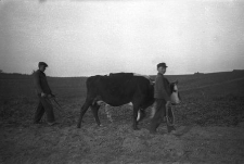 Gdańsk i Kaszubi w XX-leciu międzywojennym (358)