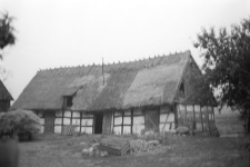 Chlew szkieletowy - Staniszewo