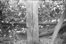 Data budowy wyryta na podstawie krzyża - Pog&oacute;dki