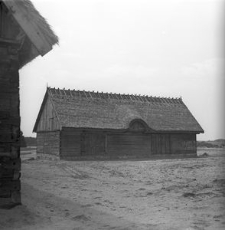 Chlew z Radunia - Wdzydze KPE