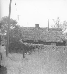 Chata sumikowo-łątkowa - Pog&oacute;dki [7]