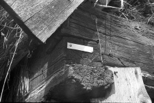 Chlew konstrukcji zrębowej - G&oacute;rki