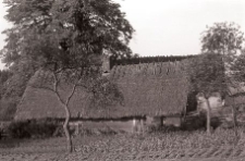 Chata zrębowa - Wielki Jabłuszek