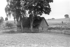 Chata i chlew - Kalisz