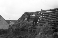 Rozbi&oacute;rka chlewa zrębowego - G&oacute;rki