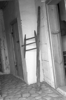 Kołowrotek - Szarlota