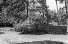 Posesja nr 1 - Załakowo