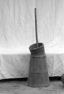 Maselnica klepkowa - Zabrody - Las