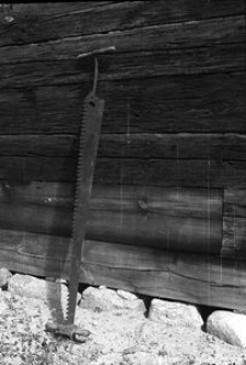 Piła tracka - Kartuzy [2]