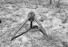 Stojak do rżnięcia drewna - Wdzydze Tucholskie