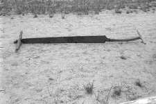 Piła tracka - Krosewo [1]