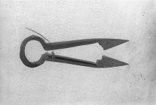 Nożyce - Czarlina [1]