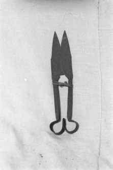 Nożyce - Czarlina [4]