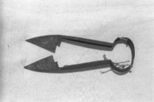 Nożyce - Pog&oacute;dki