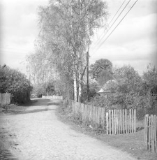 Fragment zabudowy wsi - Kaliska