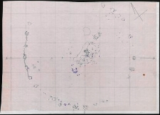 Grzybnica - rzut poziomy na powierzchni humusu, Krag Nr 2. Stan. 1