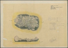 Grzybnica - rzut i przekr&oacute;j paleniska (stosu), Krąg Nr 2. Stan. 1