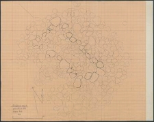 Grzybnica - Gr&oacute;b Nr 50. Stan. 1
