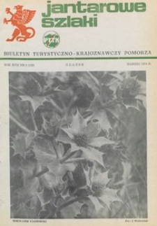 Jantarowe Szlaki, 1974, nr 3