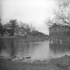 Folwark z budynkiem inwentarskim z I poł. XX w.(1914 r.) - Luzino