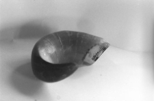 R&oacute;g kształtu sierpowatego nadający się do obr&oacute;bki