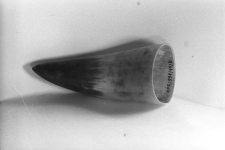 R&oacute;g do obr&oacute;bki dobrany ze względu na kolorystykę