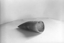 R&oacute;g do obr&oacute;bki dobrany ze względu na kolorystykę