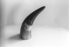 R&oacute;g do obr&oacute;bki dobrany ze względu na kolorystykę