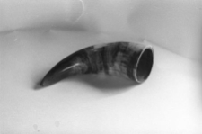 R&oacute;g do obr&oacute;bki dobrany ze względu na kolorystykę