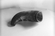 R&oacute;g wyprażony nad ogniem