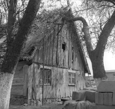 Chałupa konstrukcji zrębowej z XVIII/XIX wieku - Parchowo