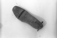 Kopyto szewskie - Rotenbark