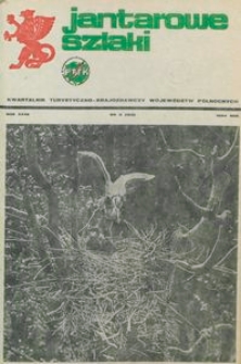 Jantarowe Szlaki, 1984, nr 2