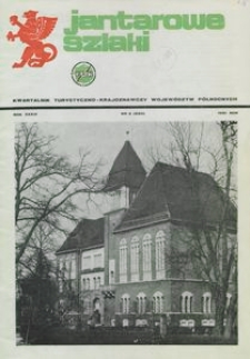 Jantarowe Szlaki, 1991, nr 2