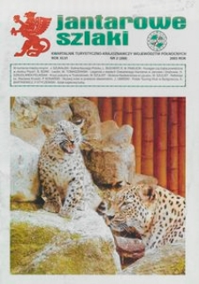 Jantarowe Szlaki, 2003, nr 2