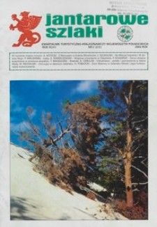 Jantarowe Szlaki, 2004, nr 2