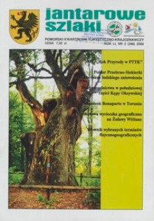 Jantarowe Szlaki, 2008, nr 2