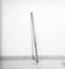 Miara liniowa - Trzebuń