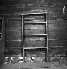 P&oacute;łki na talerze - Zdr&oacute;jno