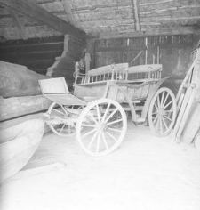 Bryczka polowa - Bytonia